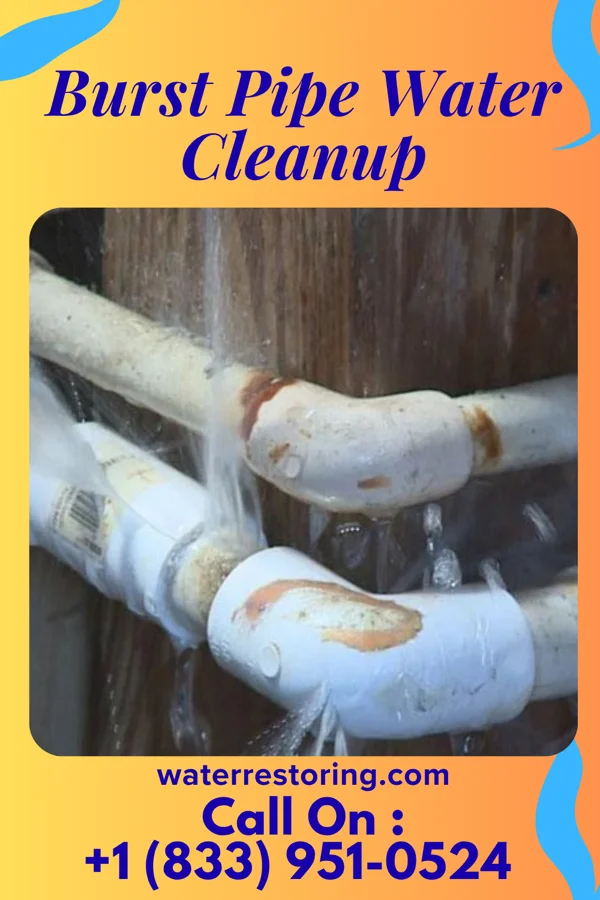 Burst Pipe Water Cleanup in Colman, SD