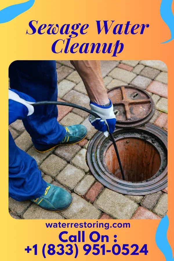 Sewage Water Cleanup in Colman, SD